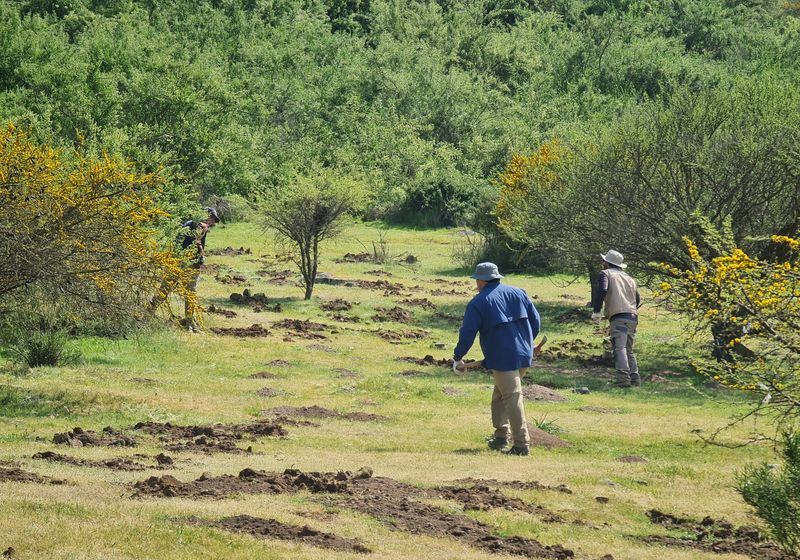 Equipo realizando perturbación controlada